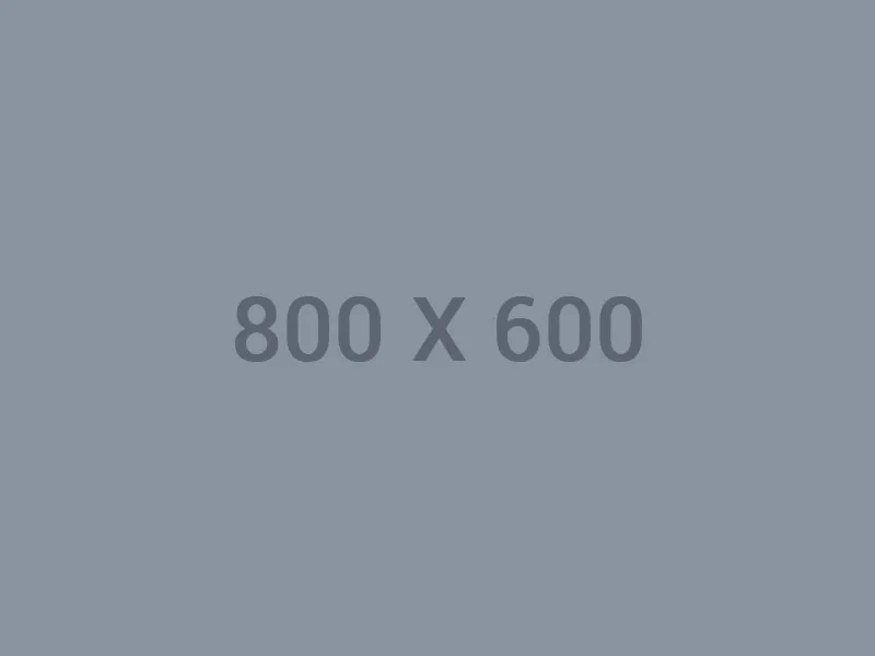 世界杯直播